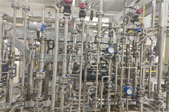 Endüstriyel Ultra Saf Su Ekipmanı Elektrodeonizasyon EDI Su Temizleme Sistemi